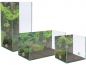 Preview: Photo Background - rainforest - 10x10 - Cube